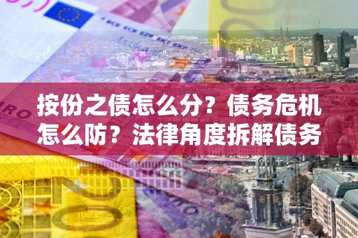 武汉按份之债怎么分？债务危机怎么防？法律角度拆解债务分配与风险自保指南