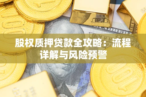 武汉股权质押贷款全攻略：流程详解与风险预警