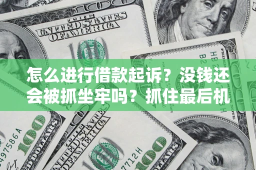 武汉怎么进行借款起诉？没钱还会被抓坐牢吗？抓住最后机会！