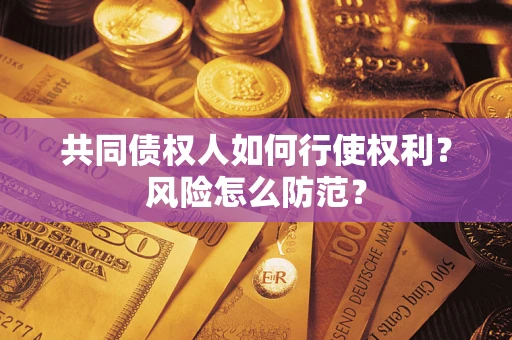 武汉共同债权人如何行使权利？风险怎么防范？