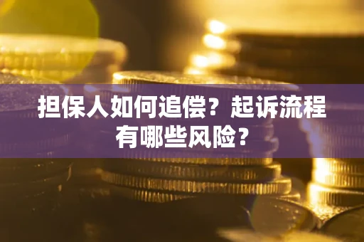 武汉担保人如何追偿？起诉流程有哪些风险？
