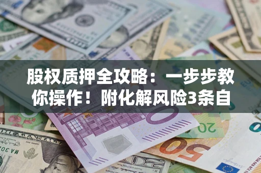武汉股权质押全攻略：一步步教你操作！附化解风险3条自救法则