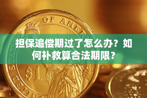 武汉担保追偿期过了怎么办？如何补救算合法期限？