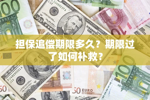 武汉担保追偿期限多久？期限过了如何补救？