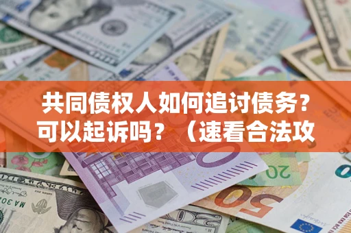 武汉共同债权人如何追讨债务？可以起诉吗？（速看合法攻略）