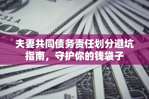 武汉夫妻共同债务责任划分避坑指南，守护你的钱袋子
