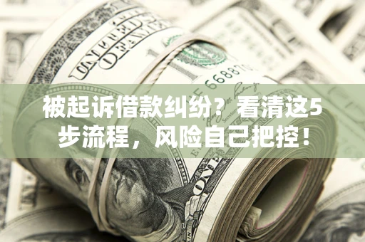 武汉被起诉借款纠纷？看清这5步流程，风险自己把控！