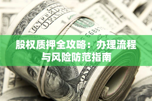 武汉股权质押全攻略：办理流程与风险防范指南